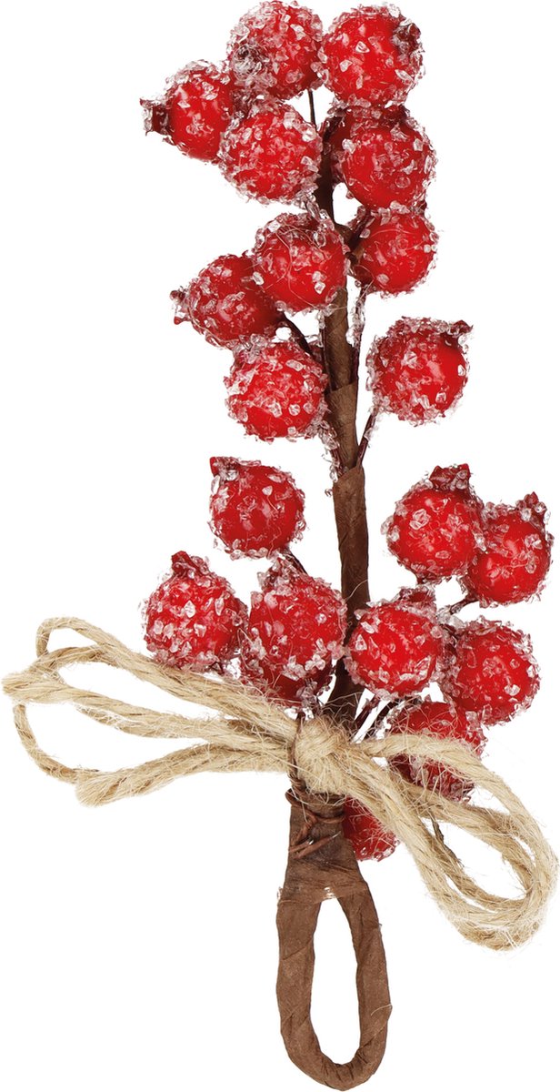Springos Kersttak | Decoratie | Rood