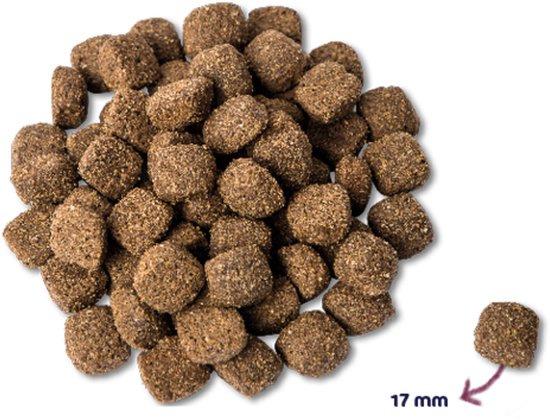 Renske Mighty omega plus adult/senior – 12 kg