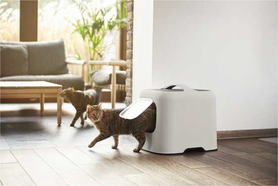 Twee katten lopen op een houten vloer, een rode kat verlaat een lichtgrijze kattenbak.