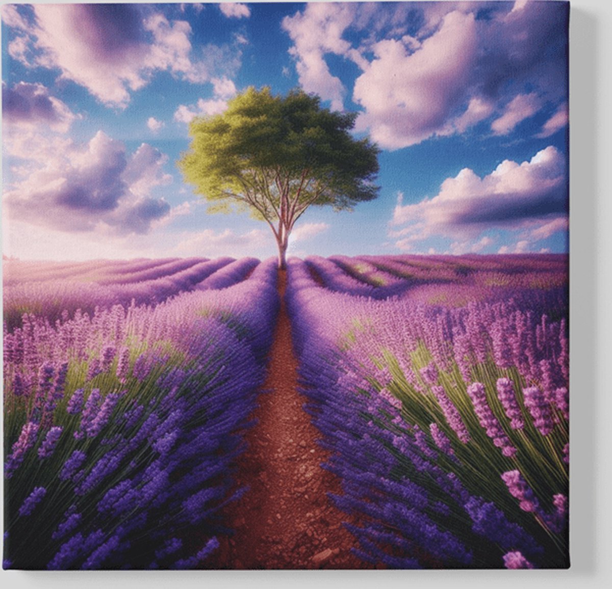 Trendex Global Vierkant Canvas Schilderij - Lavendelveld - Landschap - 40x40x2 cm Paars