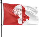 Helmondse vlag, rood met een witte helm en witte lijn op het witte deel.