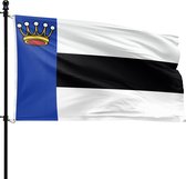 Heerenveen vlag met blauwe baan en gouden kroon, wit met zwarte horizontale banen.
