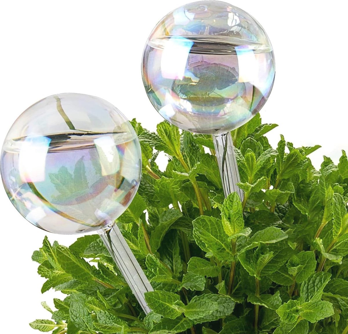 Irrigatieballen van glas voor automatische plantbewatering - 2 stuks