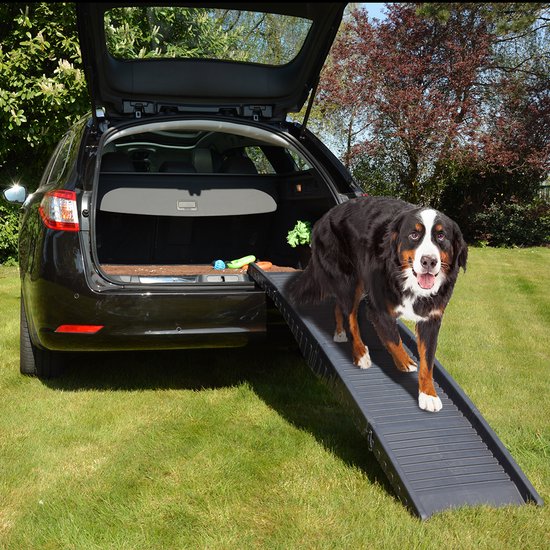 Duvo+ Loopplank Easy step - Grijs - 43 x 40 x 26 cm