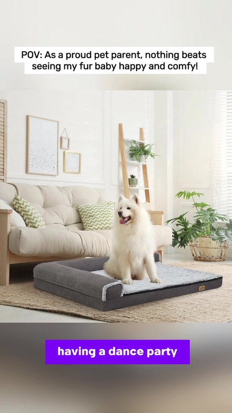 BingoPaw Hondenbed XXL, grote honden