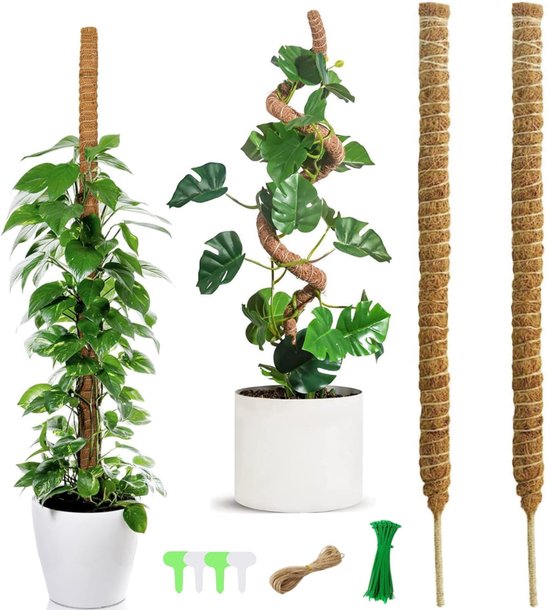 4-Pack Plantensteun | Klimhulp Voor Je Planten | Aanpasbaar Formaat Plant Ondersteuning Voor Verticale Klimplanten En Groenten