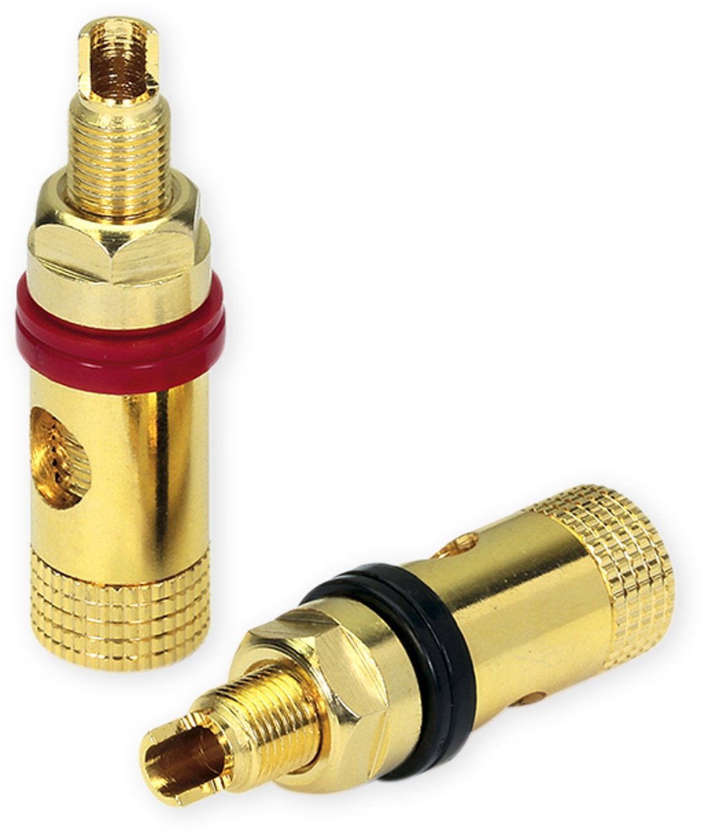 Dynavox Banaan poolklemmen female set - Verguld - Rood/Zwart