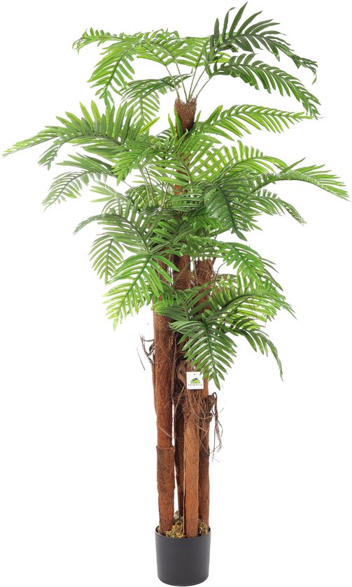 VeriNatural Kunstpalm, 150 cm, realistische kunstboom, voor
