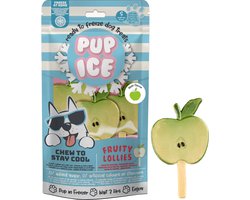 Pup Ice Hondenijsje Fruit Lollie Appel