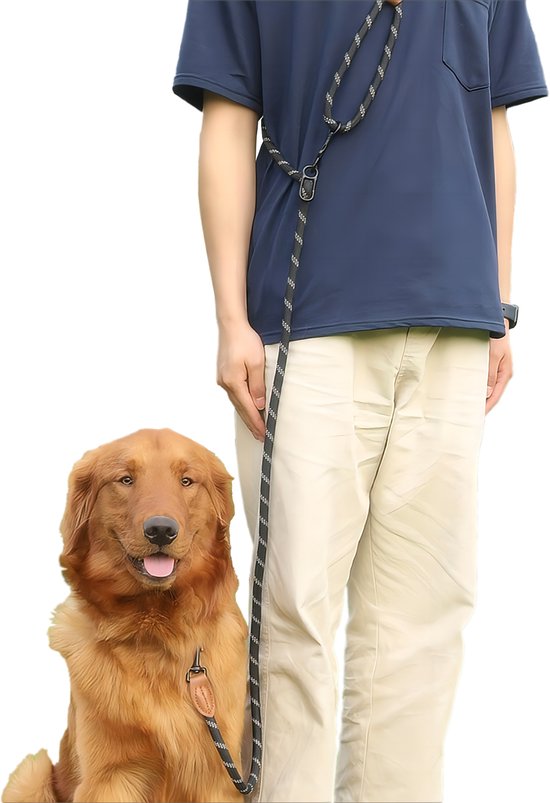 Laisse d'entraînement mains libres réfléchissante 3 en 1 Perfeqt extra solide et réglable pour chiens de taille moyenne et grande (15/80 kg) - Nightwalk Zwart