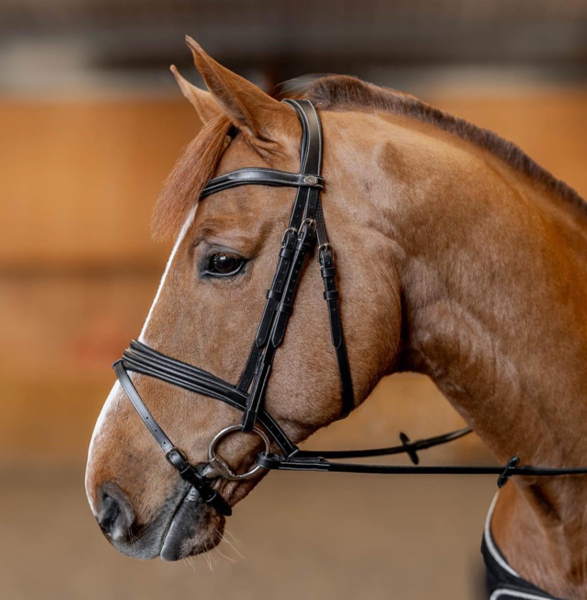 HFI Hoofdstel Padded Full Bruin