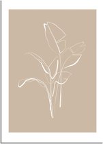 DesignClaud Poster bladeren naturel - minimalisme A2 + fotolijst wit