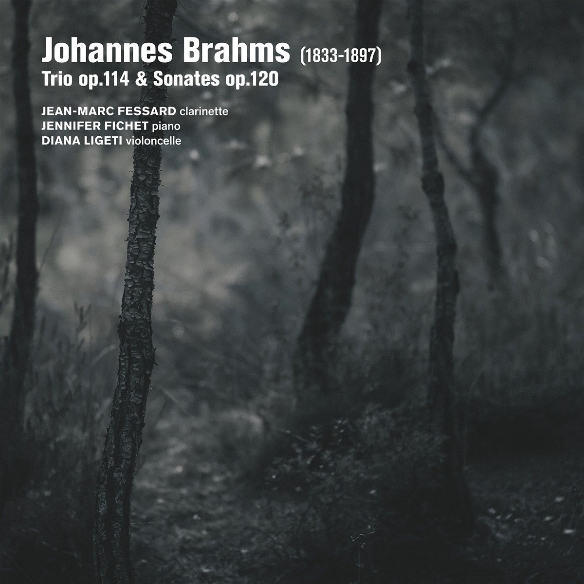 Jean-Marc Fessard & Jennifer Fichet - Brahms: Trio Op. 114 / Sonates Op. 120 (CD)