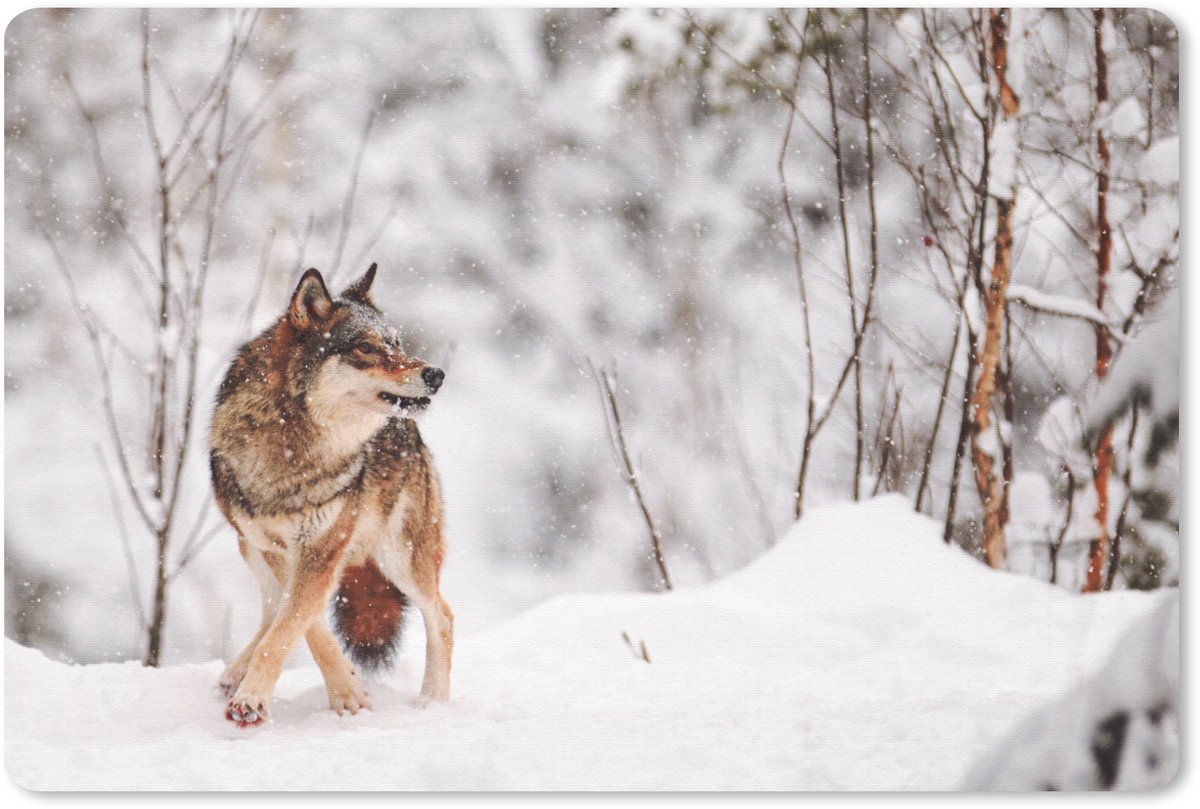 Muismat 27x18 cm - Mousepad Wolf - Winter - Sneeuw - Natuur - Dieren - Muismatten