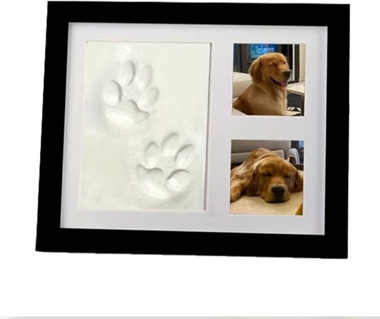 Cadre photo noir avec deux empreintes de patte de chien en argile et deux photos d'un golden retriever.