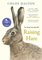 E-book