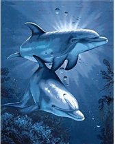 Wizardi Diamond painting WD222 - Dolphins Dating 38x48 cm