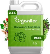Plantenvoeding All-In-One (2,5L voor 250L) - Plantenvoeding Kamerplanten - Plantenvoeding Vloeibaar - Meststof - Planten Voeding - Voor Kamerplanten, Balkonplanten, Potplanten, Buitenplanten en Moestuin - Organifer