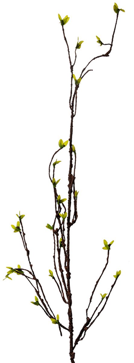 Clayre & Eef Kunstplant 116 cm Groen Kunststof