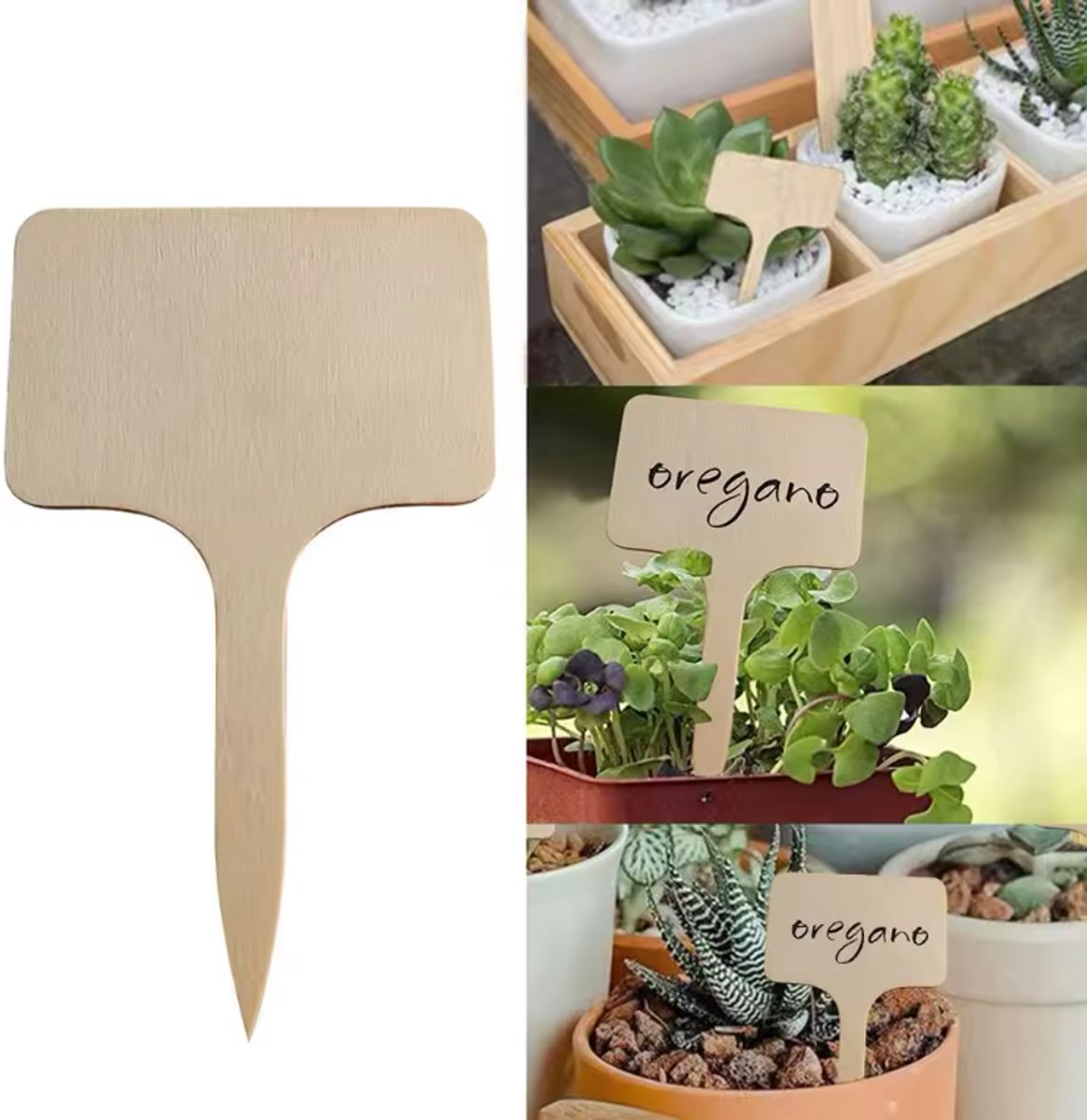 CHPN - Plantenetiketten - Plantkaartjes - Naamkaartjes - Kruidennamen - Plantennamen - Kruidenetiket - 10 x 6 cm - Moestuin - Plantenlabels - Plant Stekers - Plant Labels - Plant Etiketten - Tuinieren - 100stuks - Hout