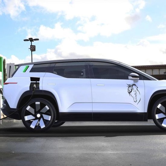 SG Store 4 stuks Reflecterende Auto Lak Kras Herinnering