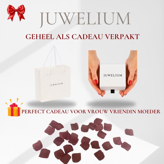 Collier Juwelium Love Heart en Argent S925, réglable de 40 à 45 cm, avec cristaux de zircone, dans un coffret à bijoux de Luxe – Cadeau Perfect pour femme, petite amie, mère ou fille.