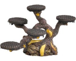 Dennerle Mos Bonsai Boom - Aquarium Decoratie
