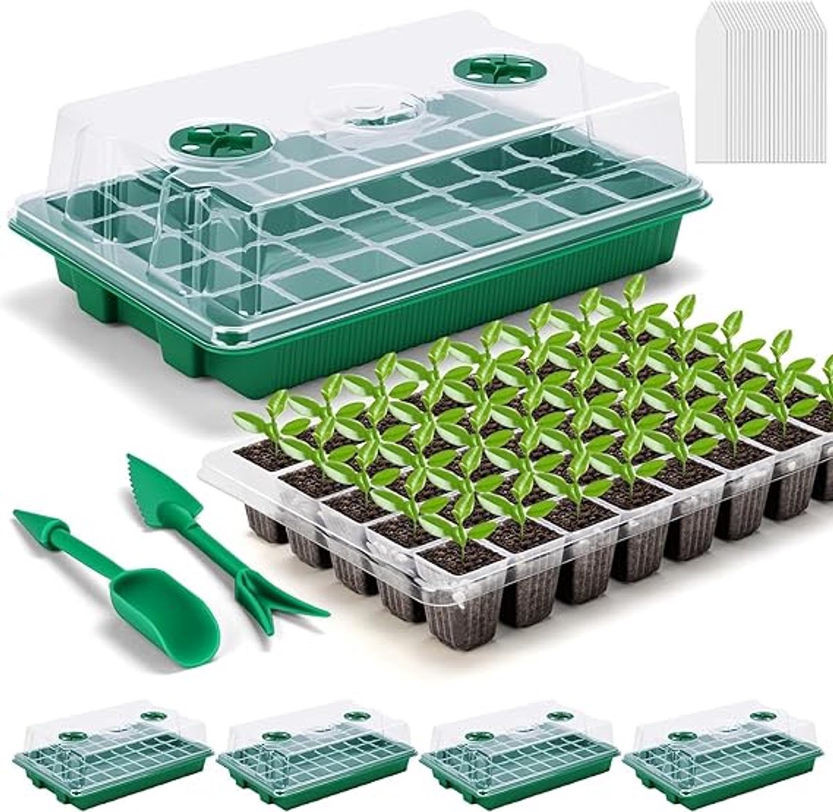 Famanu 4 stuks plantenzaailingenbakken, 24 cellen plastic zaailingen kwekerij dienblad bloem zaad kweekbak met verstelbare opening voor kas tuin huis zaailing (met 20 stuks plantenlabels, 2 stuks