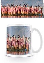 Planet Earth 2 Flamingo's - Mok