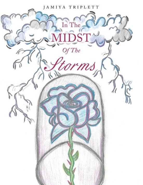 In The Midst Of The Storms - cover