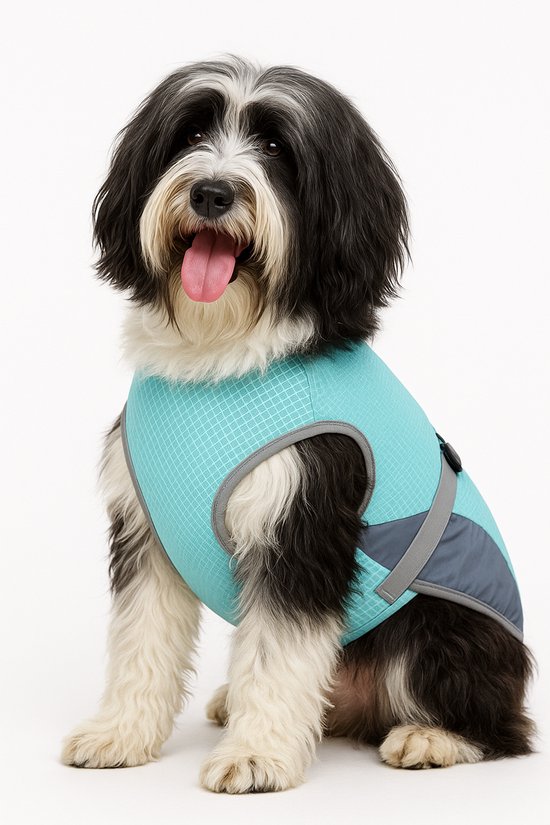 Koelvest voor honden - Castle Pets - Maat L - Ruglengte 50 t/m 60 CM - Gewicht hond 15 t/m 23 kilo - Verkoeling Hond - Koeljas Hond - Cooling Vest
