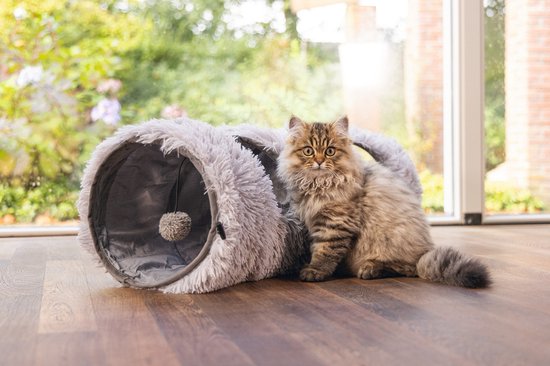 Cyperkat zit naast een grijze kattentunnel met een speelbal.