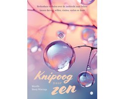 Omslag van Knipoog naar zen