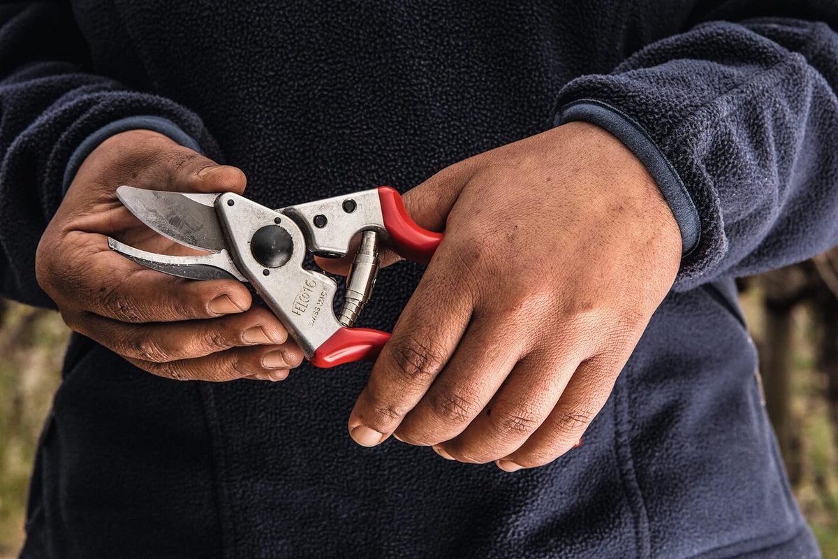 Felco Sécateur F16