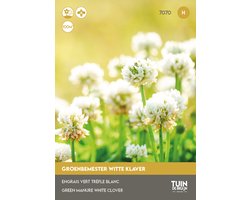 Tuin de Bruijn® zaden - Groenbemester Witte Klaver - verrijkt de bodem met stikstof - grondverbeteraar - VOORDELIGE KEUZE - 100 gram is goed voor ca. 100 m2