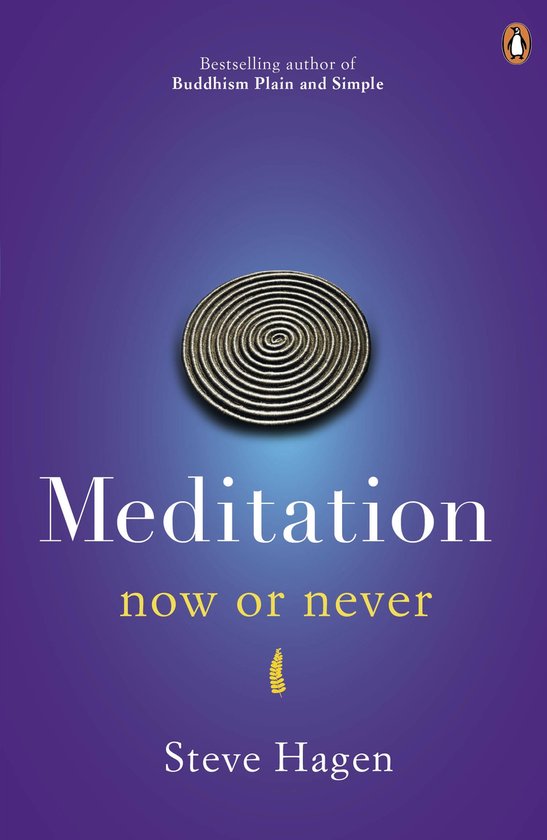 Boekomslag met de titel 'Meditation now or never' in witte en gele letters op een paarse achtergrond met een spiraalvormig symbool.