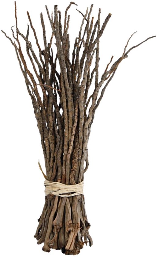 Kunsttakjes - Coco finger bundel naturel D9 H34 cm - Paas versiering - Paas takjes