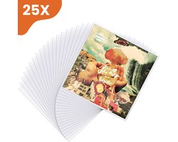LP Hoezen 25 Stuks – Stevige Buitenhoezen - Biedt Jarenlange Bescherming - Glashelder - Vinyl Beschermhoezen - Platen Hoes - Outer Sleeves - Beschermhoes