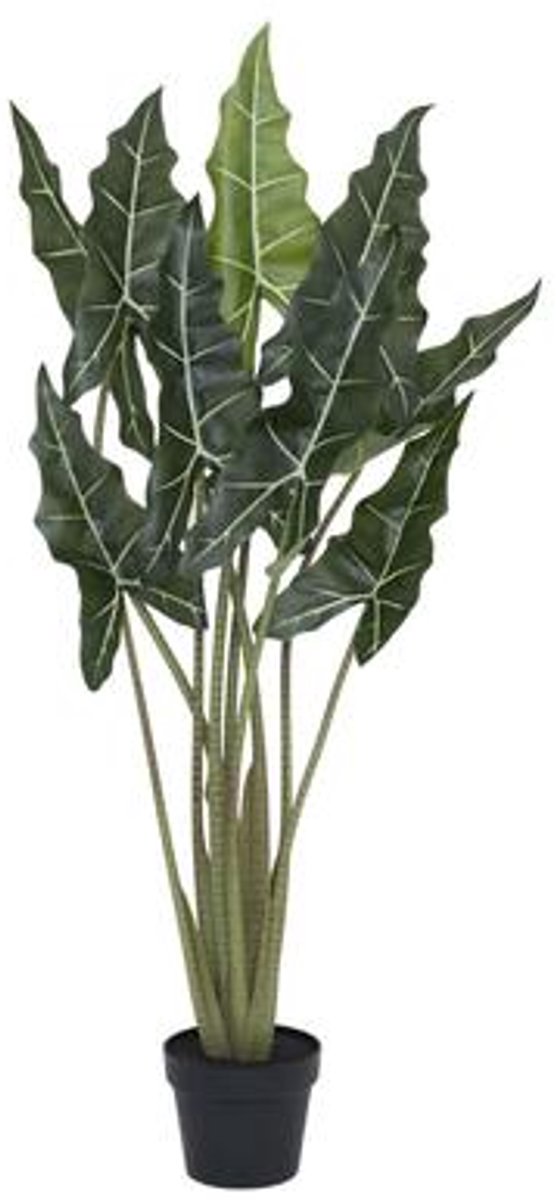 Pottery Pots Kunstplant - Alocasia taro S - H120cm - Indoor - Green