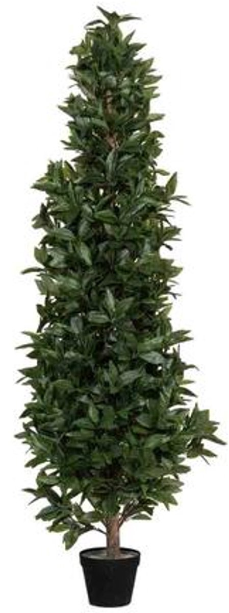 Pottery Pots Kunstplant - Laurus L - L30cm x W30cm x H150cm - Indoor - Green