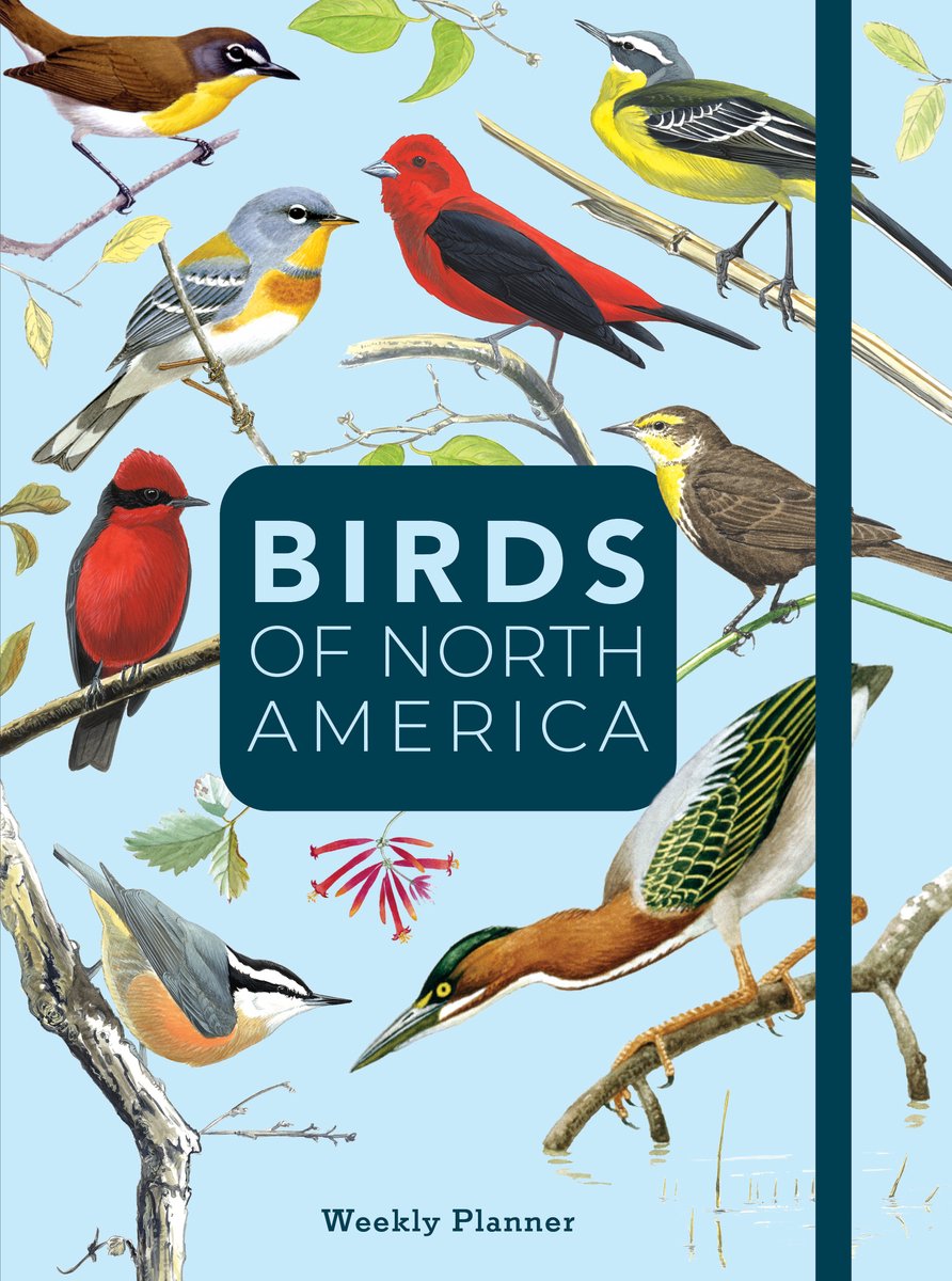 Omslag van Birds of North America