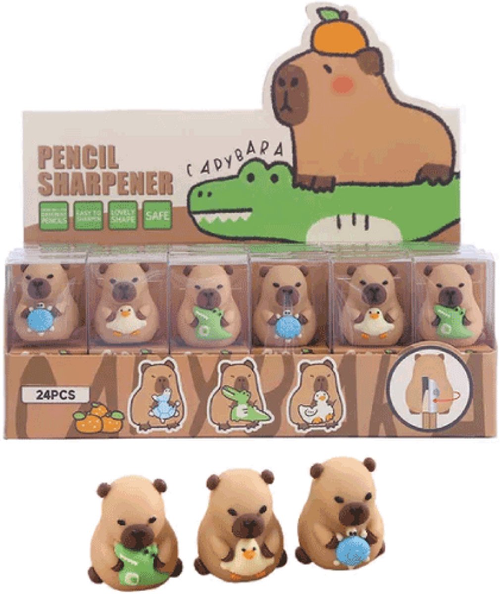 Centrum puntenslijpers Capybara - 24 stuks - schattige slijpers display.