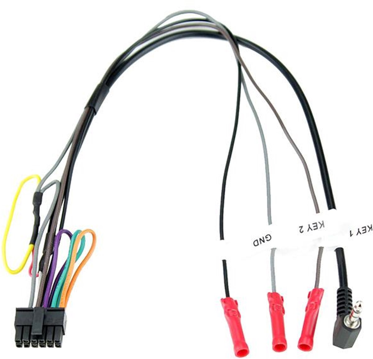 Connects2 - Radiolead universeel