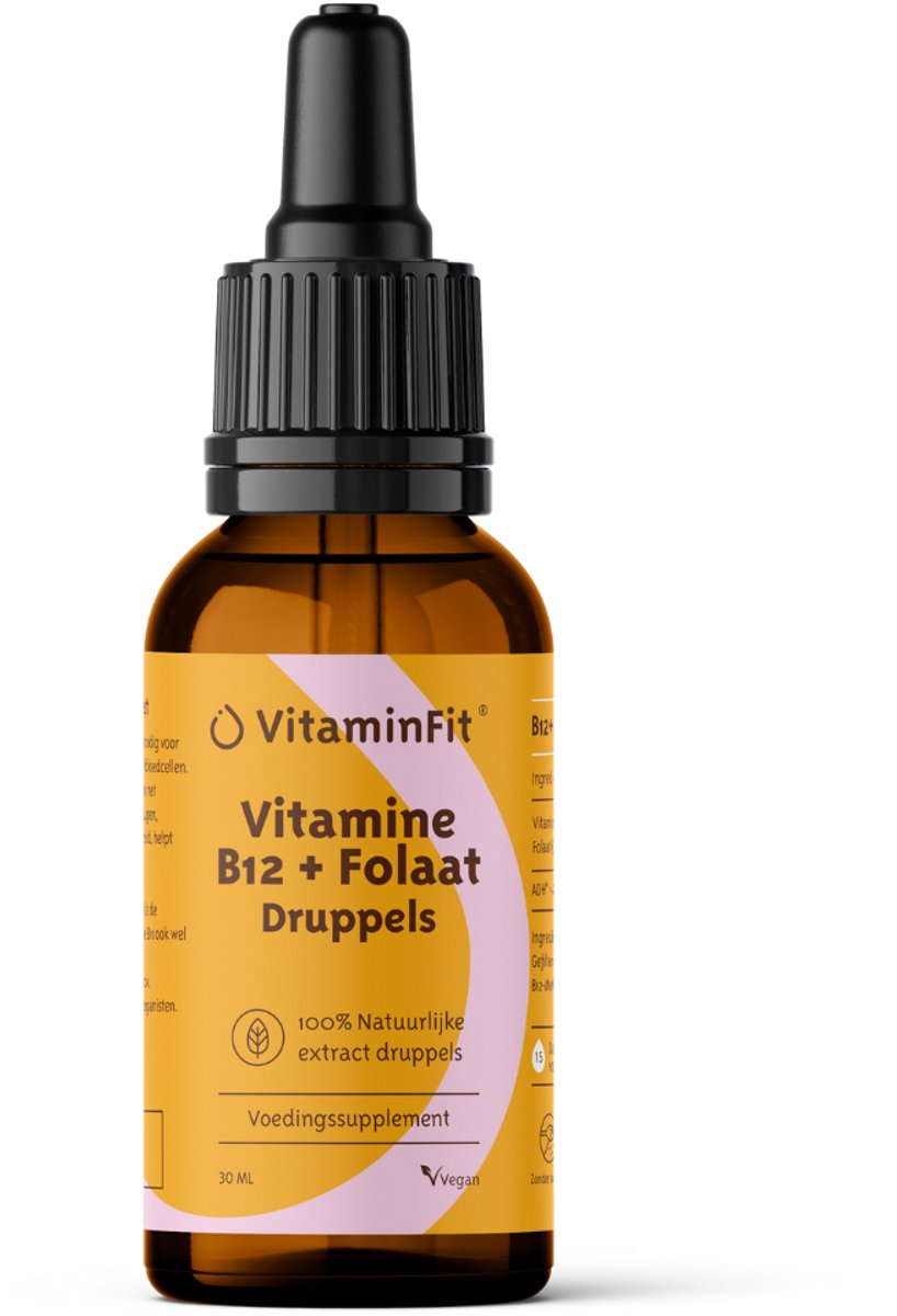 Goedkoopste VitaminFit Vitamine B12 Folaat (Vitamine B11) - 100 Natuurlijk & Plantaardig - 30 ML - Vloeibaar
