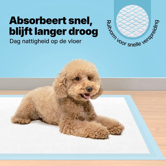 Honden kauwspeelgoed kopen bij KVV de Poort