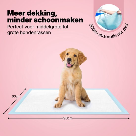 Un chiot golden retriever est assis sur un tapis d'apprentissage pour chiots bleu et blanc de 90x60cm. Fond rose.