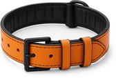 Brute Strength - Luxe leren halsband hond - Oranje - L - (46 - 53 cm) x 3,5cm - honden halsband - hondenhalsband - halsband hond leer - leren honden halsband - stoere honden halsband - leren hondenhalsband - leren halsband hond