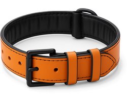 Brute Strength - Luxe leren halsband hond - Oranje - L - (46 - 53 cm) x 3,5cm - honden halsband - hondenhalsband - halsband hond leer - leren honden halsband - stoere honden halsband - leren hondenhalsband - leren halsband hond