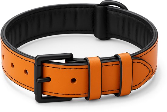 Brute Strength - Luxe leren halsband hond - Oranje - L - (46 - 53 cm) x 3,5cm
