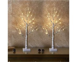 Lichtjesboom Set van 2 Stuks - Lichttakken voor Binnen met 24 LEDs Warmwit - Berkenboompje 60 cm - Decoratieve Takken op Batterijen voor Kerstdecoratie, Feest en Verjaardag
